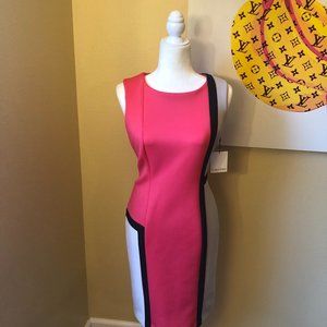 NWT Calvin Klein Colorblock Sheath - Pink/Salmon